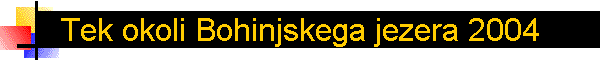 Tek okoli Bohinjskega jezera 2004