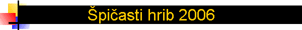 �pi�asti hrib 2006