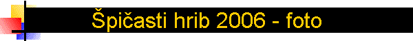 �pi�asti hrib 2006 - foto