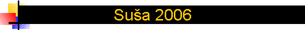 Su�a 2006