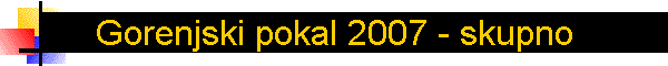 Gorenjski pokal 2007 - skupno