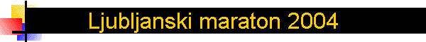 Ljubljanski maraton 2004