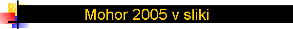 Mohor 2005 v sliki