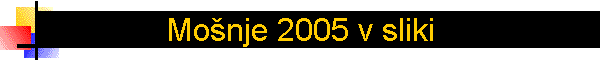 Mo�nje 2005 v sliki