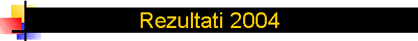 Rezultati 2004