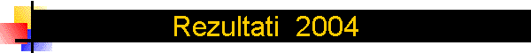 Rezultati  2004