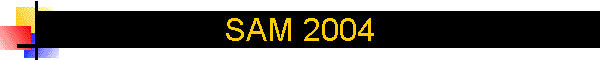 SAM 2004