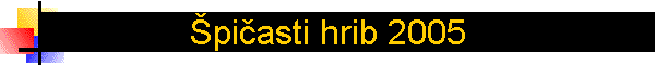 �pi�asti hrib 2005