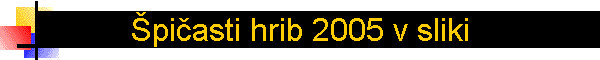 �pi�asti hrib 2005 v sliki