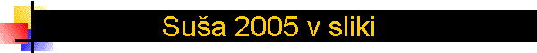 Su�a 2005 v sliki