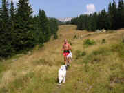 Nekateri si pomagajo z vle�nimi psi ?!