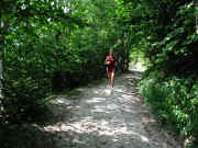 Zeleni raj nad Jezerskim.