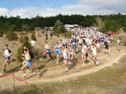 151-5140_img.jpg (52254 bytes)